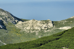 dinara-srecko-vukov-31