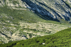dinara-srecko-vukov-32