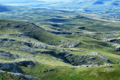 dinara-srecko-vukov-34