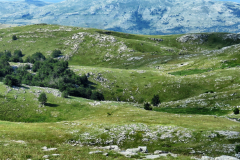 dinara-srecko-vukov-35