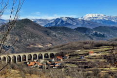 dinara-srecko-vukov-43