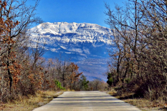 dinara-srecko-vukov-44