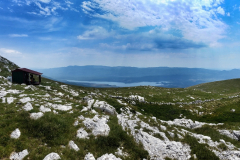 dinara-srecko-vukov-5