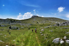 dinara-srecko-vukov-6