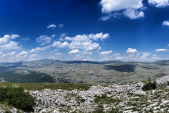 dinara-srecko-vukov-7