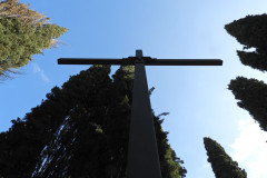 DSCN8542A