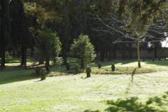 DSCN8544