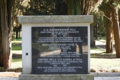 DSCN8549