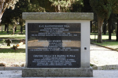 DSCN8550