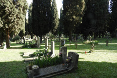 DSCN8552