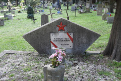 DSCN8553