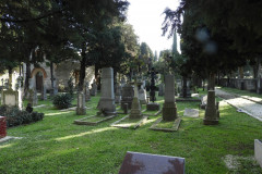 DSCN8554
