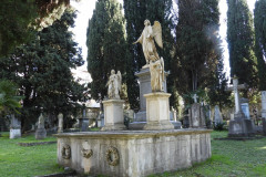 DSCN8560