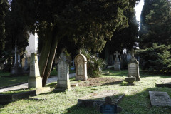 DSCN8563