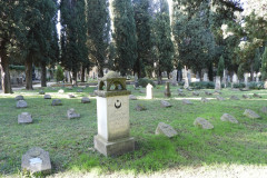 DSCN8568