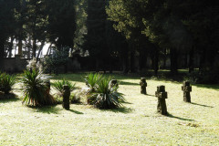 DSCN8571