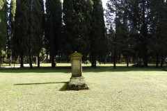 DSCN8573