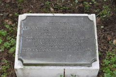 DSCN8575