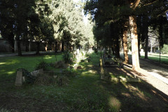 DSCN8576