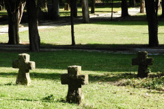 DSCN8577
