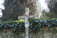 DSCN8580