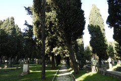 DSCN8585