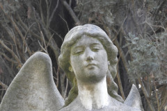 DSCN8588