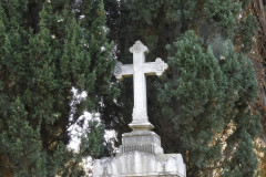 DSCN8593