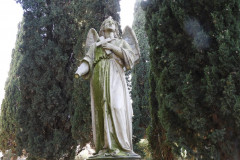 DSCN8595