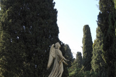DSCN8596