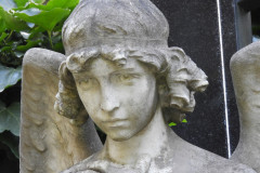 DSCN8601
