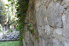 DSCN8602