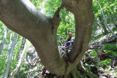 mudna-dol-fratar-hahlic-0001-14