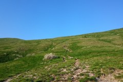 mudna-dol-fratar-hahlic-0001-50