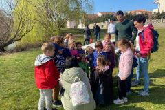 277188264_311382957776248_6561074294845741013_n